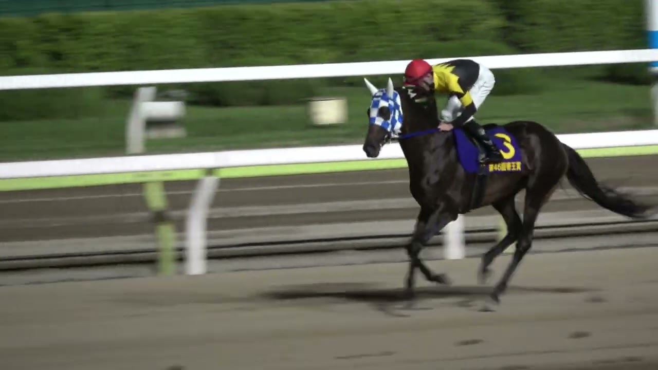 【帝王賞2023】武豊が登場すると凄い歓声‼ 本馬場入場 現地映像 帝王賞初の連覇達成‼ メイショウハリオ