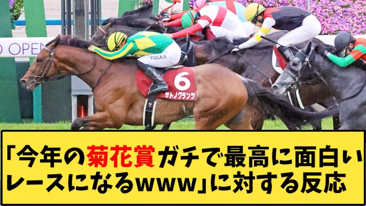 【競馬】「今年の菊花賞ガチで最高に面白いレースになるｗｗｗ」に対する反応【反応集】
