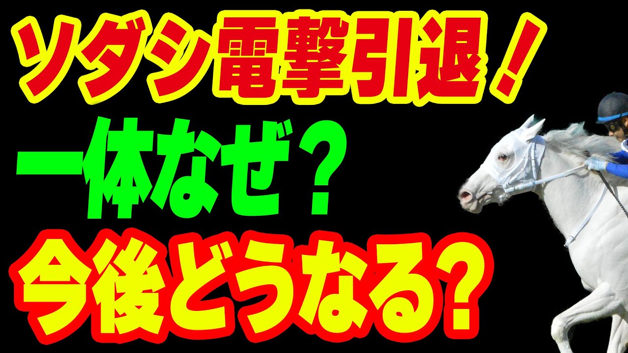 ソダシが電撃引退！一体なぜ？今後どうなる？