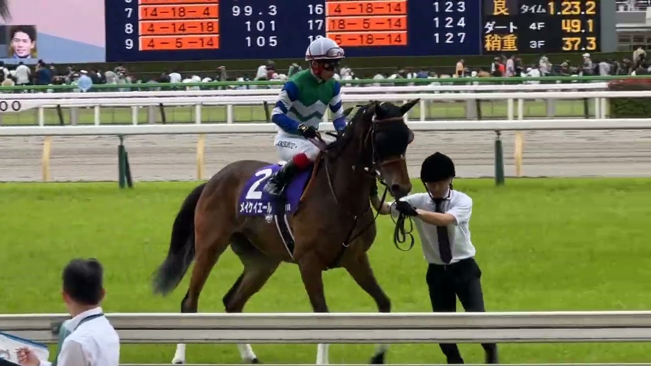 2023安田記念 メイケイエール 本馬場入場