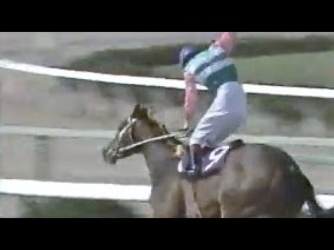 第４４回　桜花賞 （ＧⅠ） ダイアナソロン　牝３　55　田原成貴　1984.4.8　　出走馬： ロングレザー、 ロングキティー、 トウカイローマン、 ダイゴジョオー、タケムスメ、ドミナスローズ他