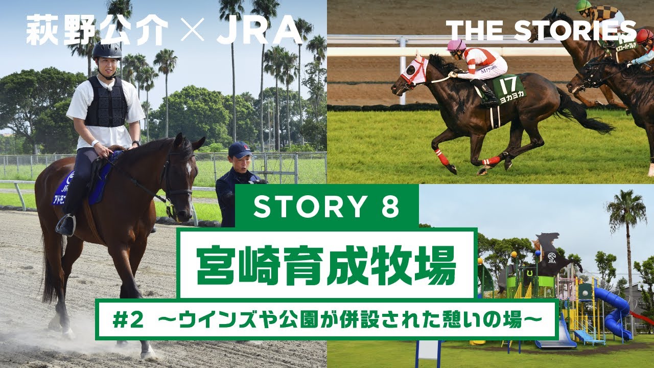 『萩野公介×JRA  THE STORIES』「STORY８ 宮崎育成牧場」#２ ～ウインズや公園が併設された憩いの場～ | JRA公式