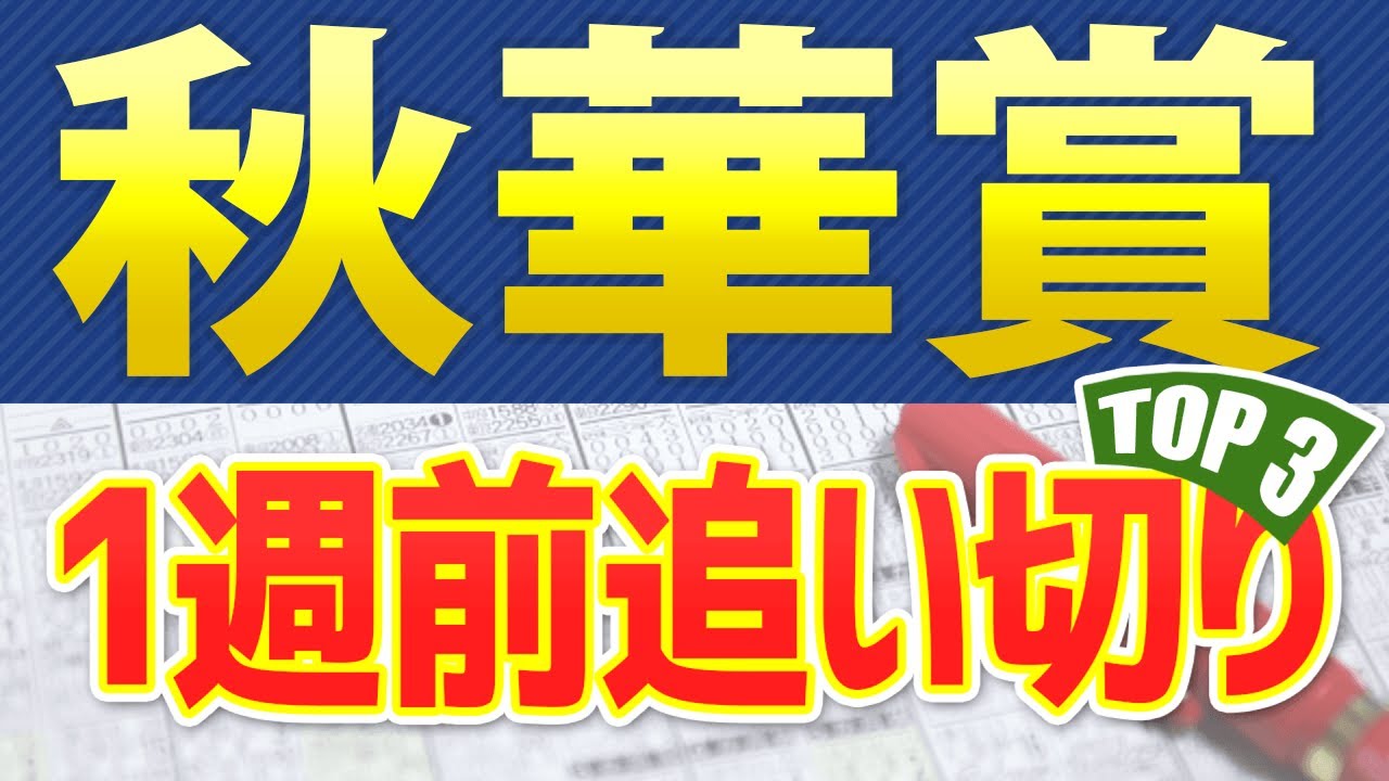 【秋華賞2023】1週前追い切りが高評価だった3頭をピックアップ🐴 ～JRA競馬予想～