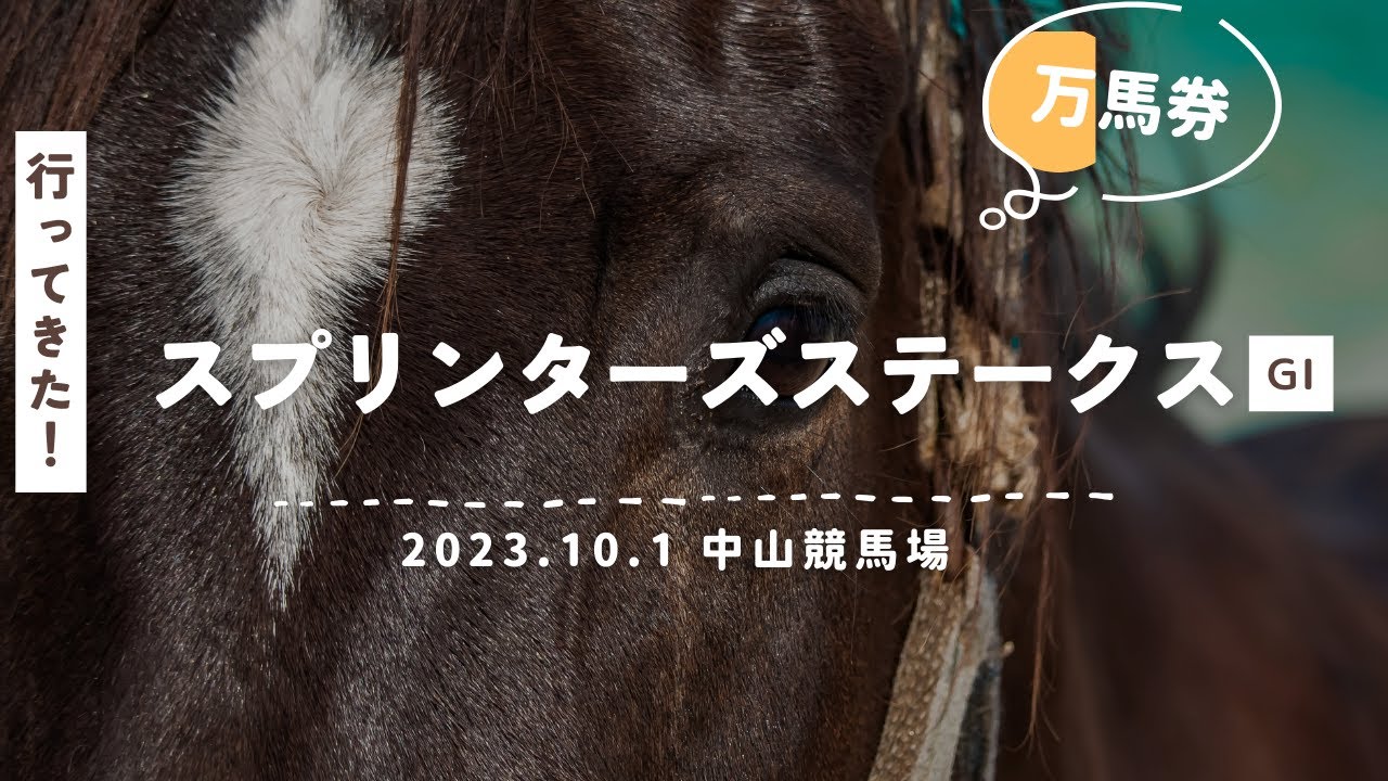 スプリンターズステークス2023に行ってきました！