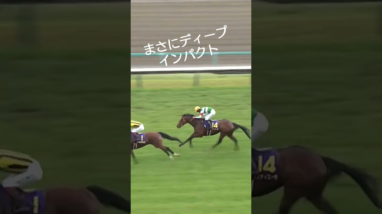 皐月賞でディープインパクトの兄キタサンブラックがターフを飛ぶ ダービーへ
