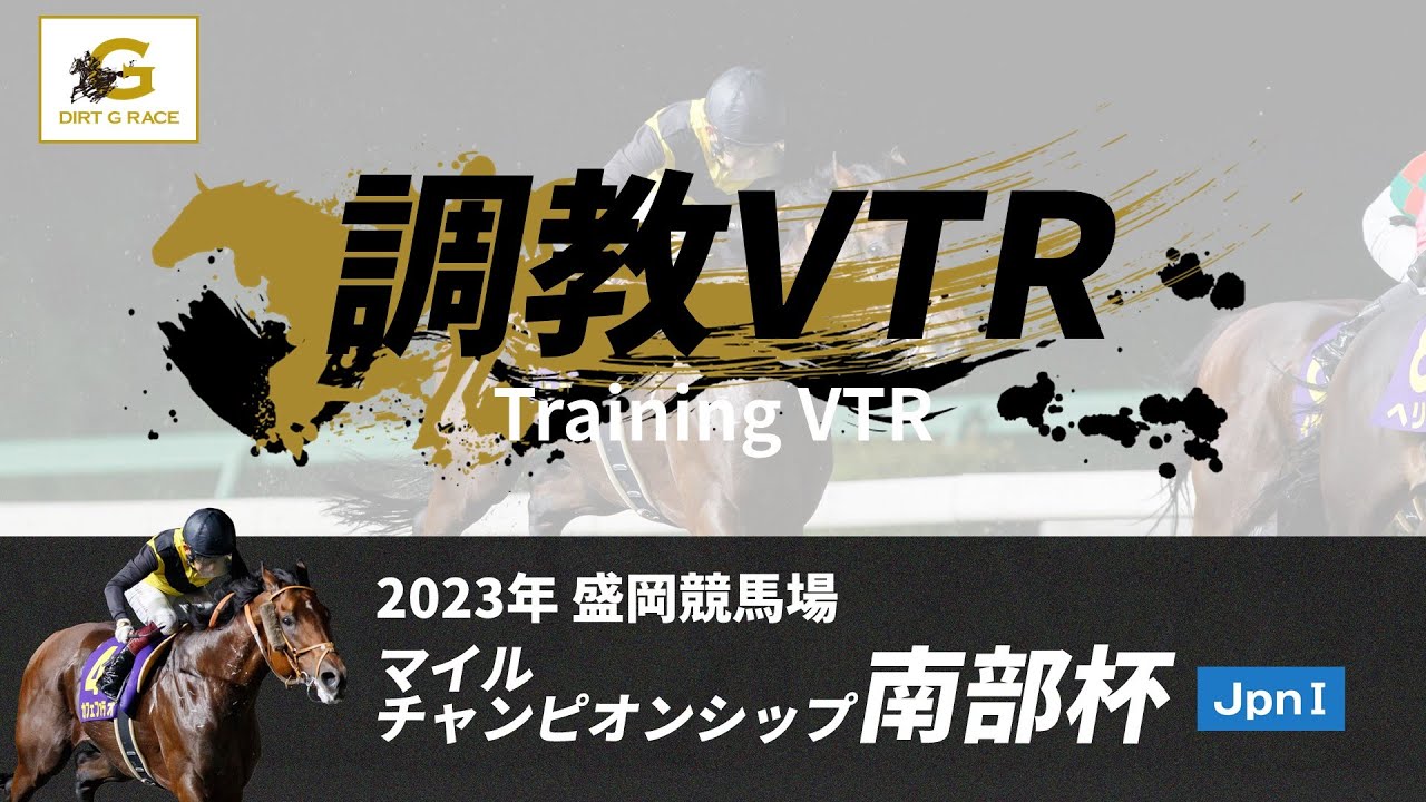 調教VTR｜2023年 マイルチャンピオンシップ南部杯 JpnI｜NAR公式