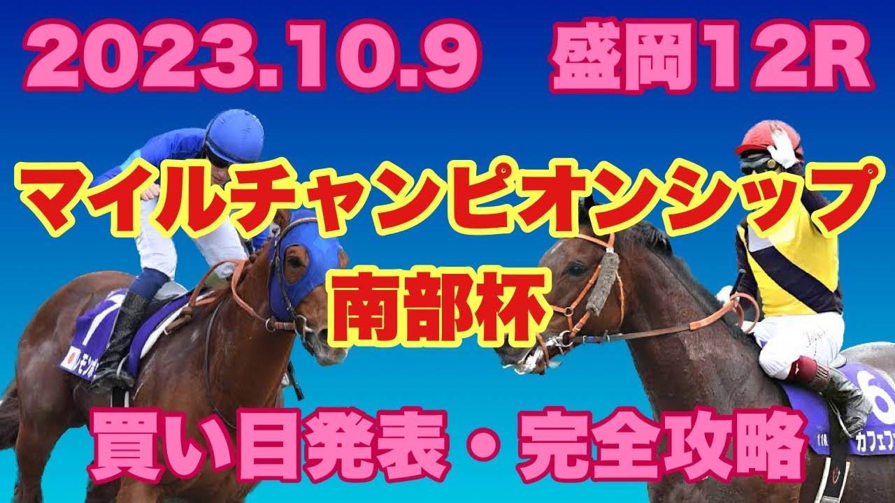 【競馬】2023 Jpn1 盛岡 マイルCS 南部杯 買い目発表と解説！
