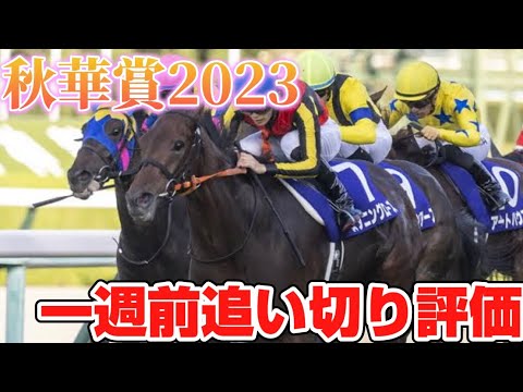 秋華賞2023 一週前追い切り評価