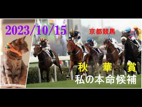 2023/10/15　京都競馬　秋華賞（ＧⅠ）私の本命候補