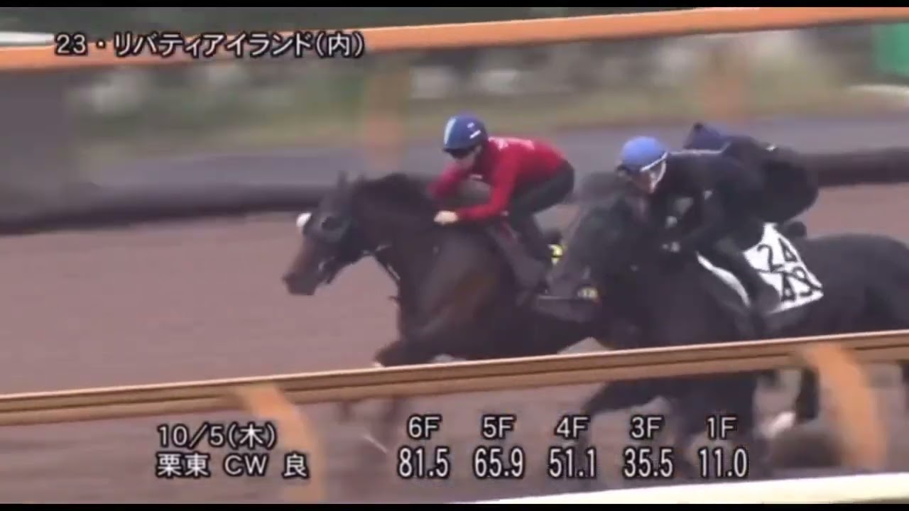 🐴秋華賞一週前追い切り‼️凄まじい💪#リバティアイランド