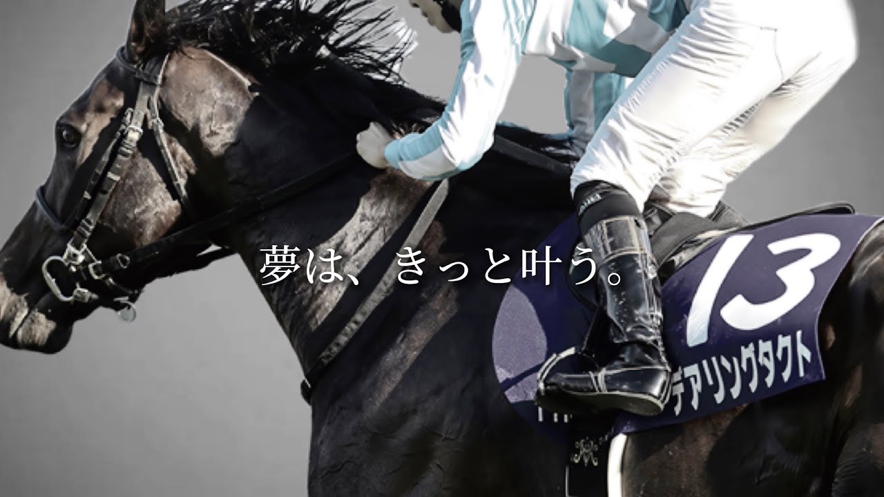 デアリングタクト 秋華賞 JRA CM風