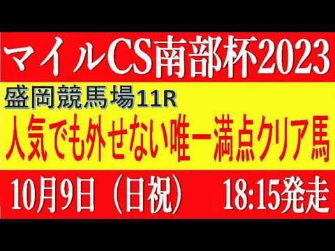 マイルチャンピオンシップ南部杯2023（盛岡競馬）⚠️13頭に減点！消去法データ予想