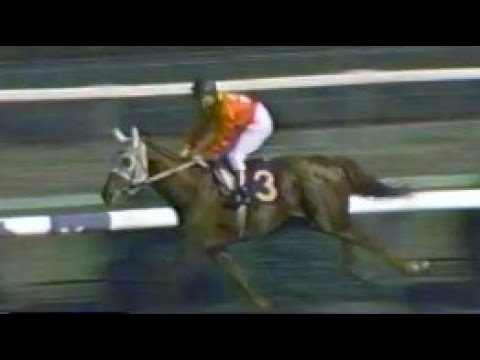 第３７回　皐月賞　ハードバージ　牡３　57　福永洋一　1977.4.17　出走馬：ラッキールーラ、アローバンガード、パワーシンボリ、ロングイチー、カネミノブ、ヒシスピード、パリアッチ、プレストウコウ他