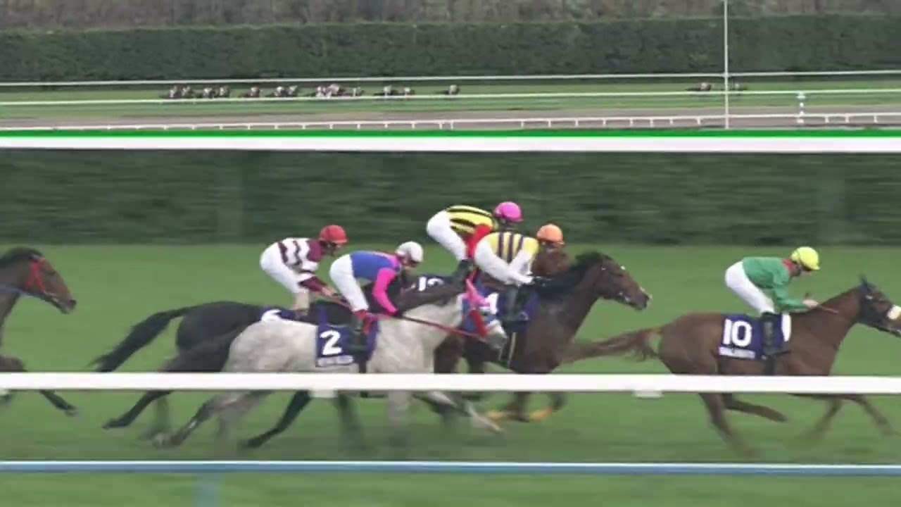 カワカミプリンセス 2009年 第34回エリザベス女王杯(GI) (優勝馬：クィーンスプマンテ)