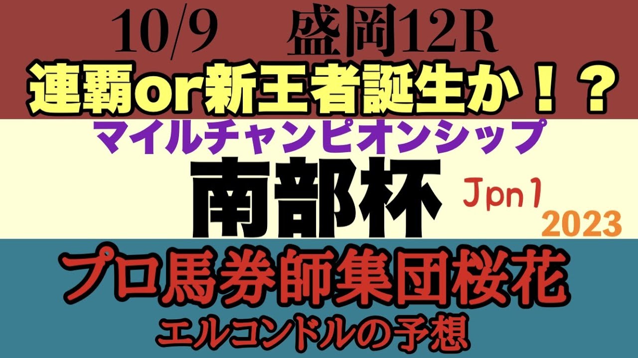 プロ馬券師集団桜花エルコンドル氏のマイルチャンピオンシップ南部杯2023予想！！中央で今週G1がなくても地方であるぞ！カフェファラオ連覇なるか！レモンポップとの初対決はどちらに軍配があがるか！