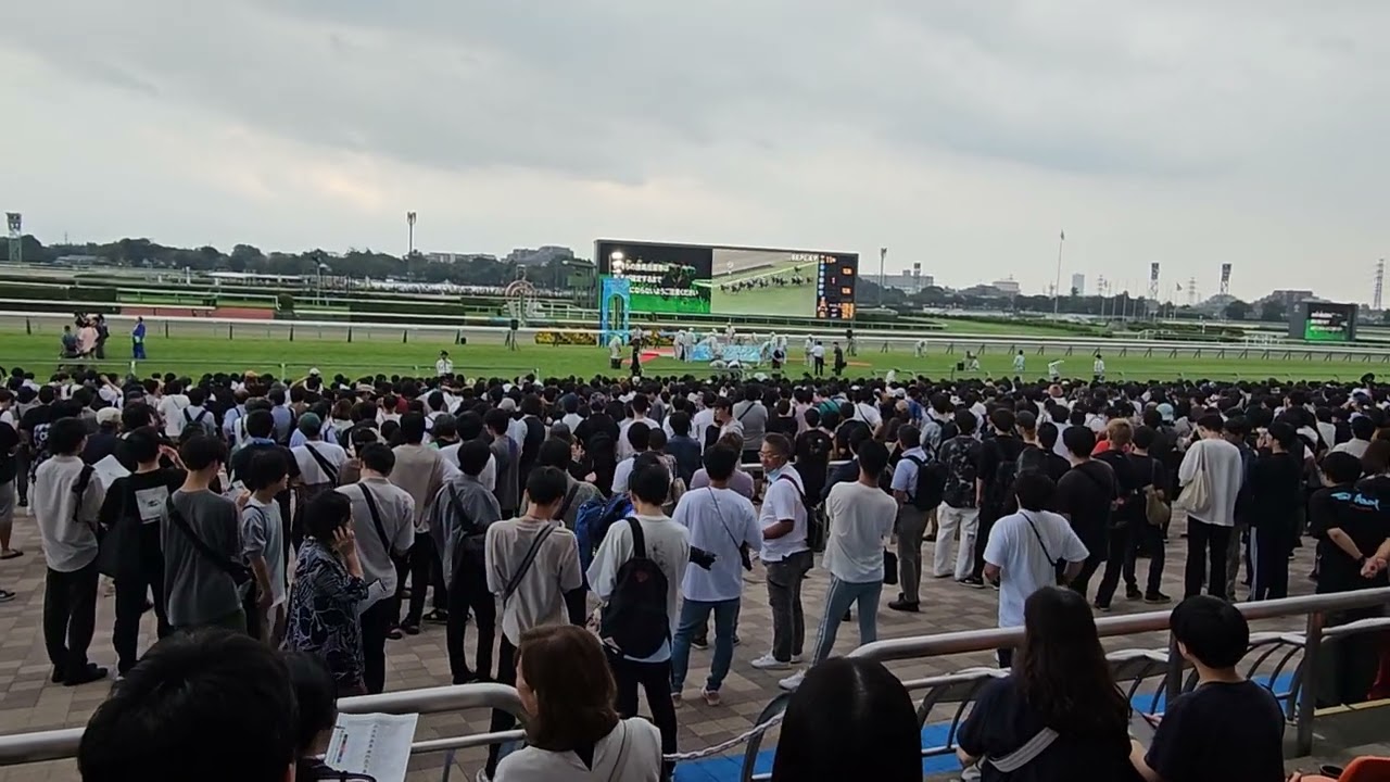 第57回スプリンターズステークス2023