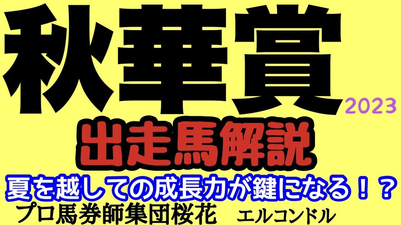 プロ馬券師集団桜花のエルコンドル氏の秋華賞2023出走馬解説！！果たして三冠牝馬誕生なるか！夏を超えて成長した馬のなかにリバティアイランドの牙城を崩す馬はいるか！