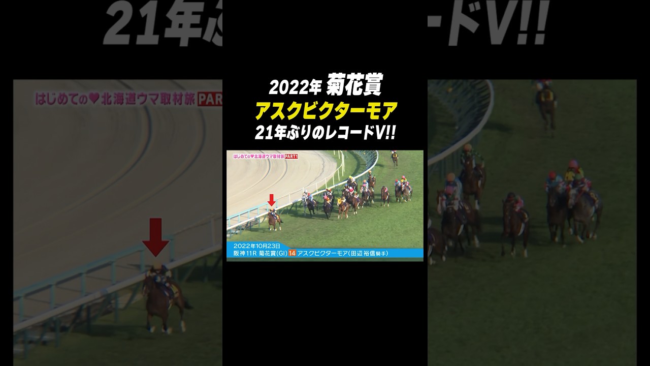 2022年 #菊花賞 アスクビクターモア が21年ぶりのレコードV‼️ #shorts