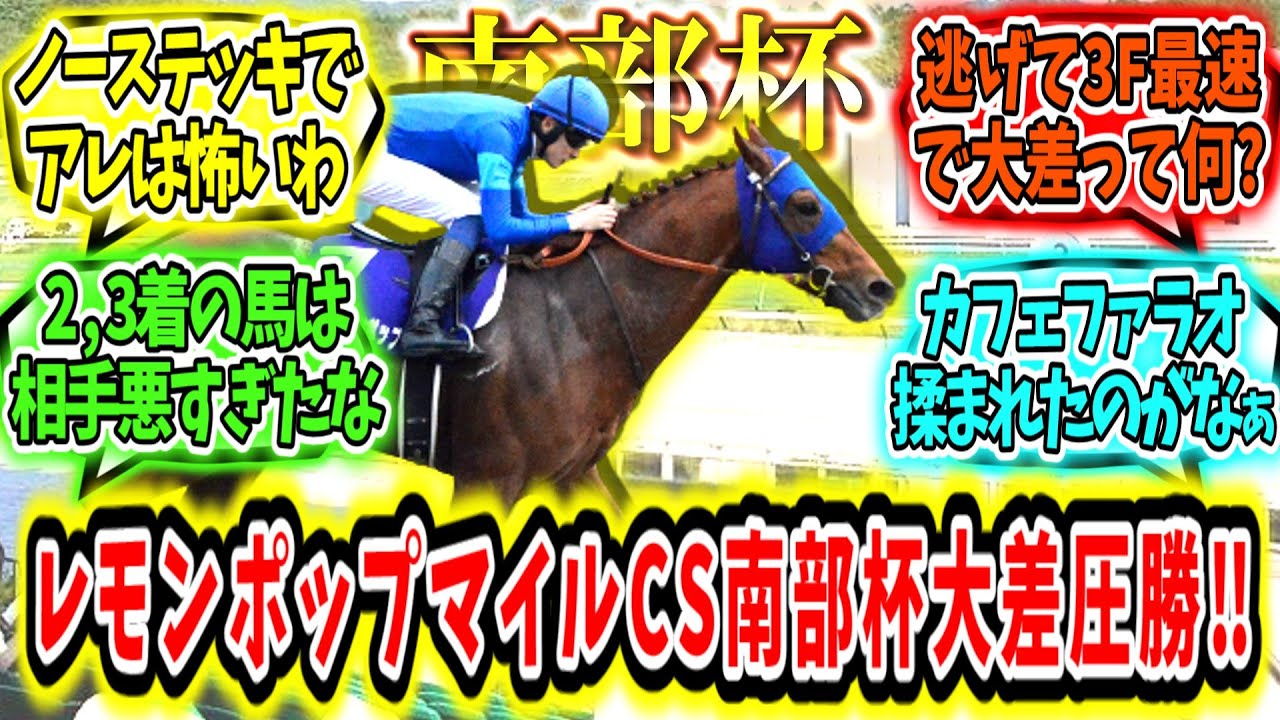 『もはや恐怖映像‼レモンポップマイルCS南部杯を大差圧勝‼』に対するみんなの反応【競馬の反応集】