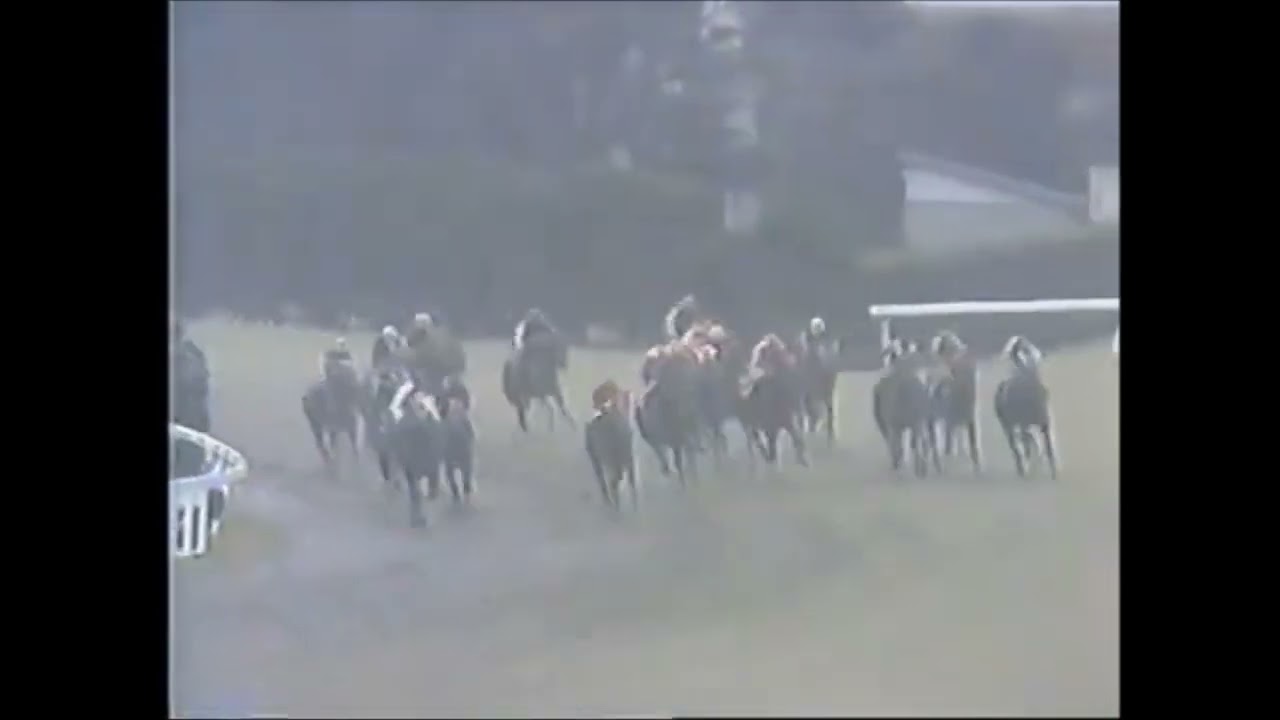 『金襴緞子が泥にまみれてゴールイン！』第４１回　桜花賞　ブロケード　牝３　55　柴田政人　1981.4.5　　出走馬：テンモン、マーブルトウショウ、タケノダイヤ、シャッフィー、ネーハイフォルティ他