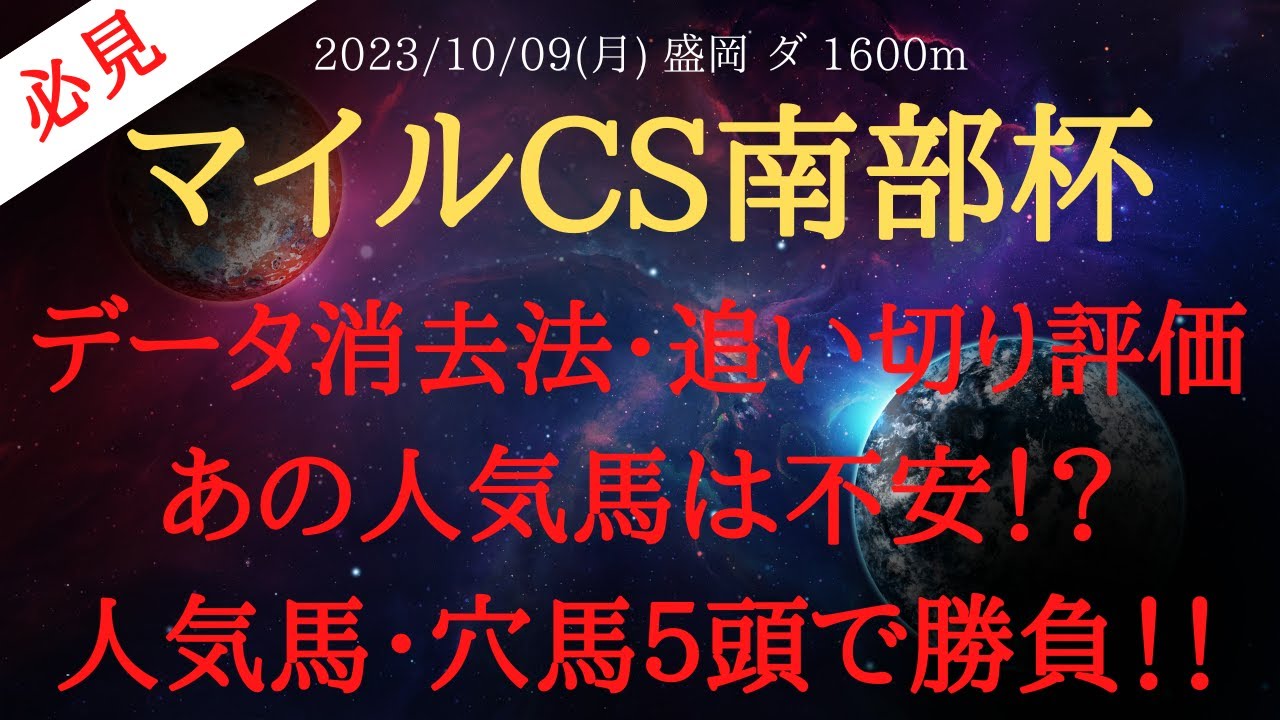 【 最終結論・データ消去法・追い切り 】マイルCS南部杯 2023 予想 データ消去法・追い切り評価！あの人気馬は不安！？人気馬・穴馬５頭で勝負！！【中央競馬予想】
