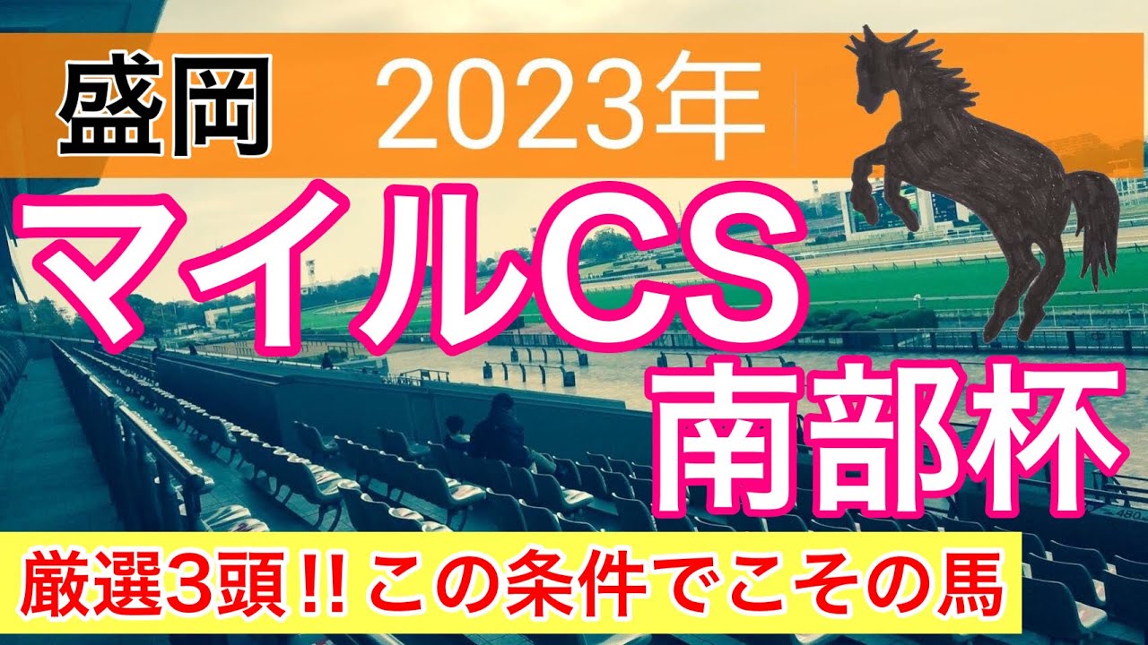 【マイルチャンピオンシップ南部杯2023】地方競馬予想
