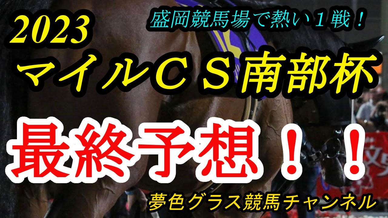【最終予想】2023マイルチャンピオンシップ南部杯！◎は盛岡コースで久々の勝ち星を期待！
