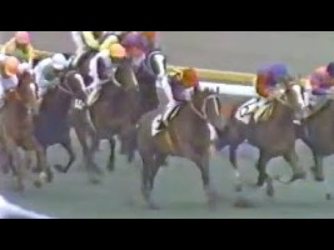第３６回　皐月賞　トウショウボーイ　牡３　57　池上昌弘　1976.4.25　　出走馬：テンポイント、トウカンタケシバ、ボールドシンボリ、クライムカイザー、クリアロハ、メジロサガミ、タニノレオ他
