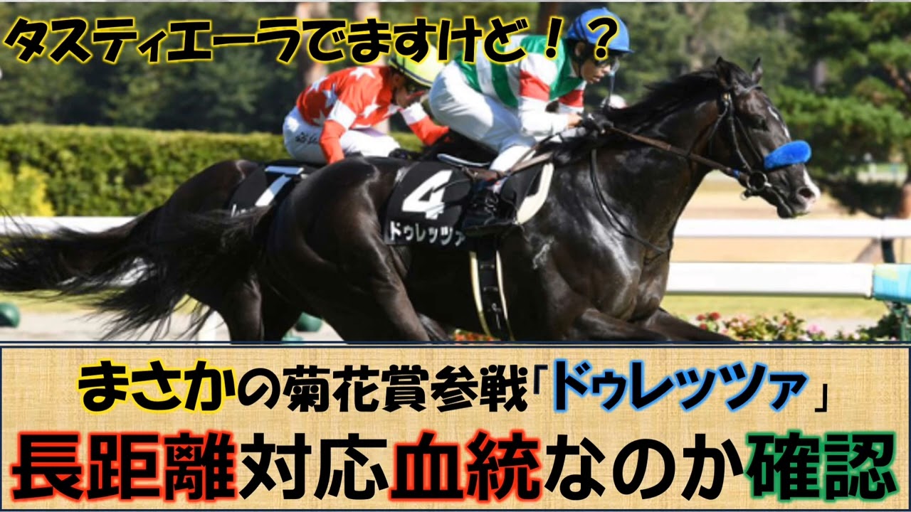 【一口馬主】まさかの菊花賞参戦！使い分けなし「ドゥレッツァ」長距離適性あるか確認してみた。
