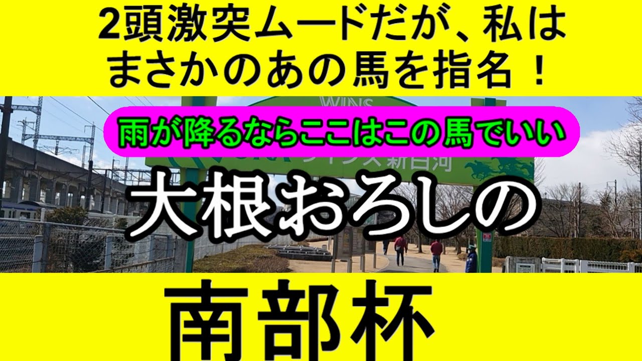【競馬予想】マイルチャンピオンシップ南部杯2023をデータから徹底予想【大根おろし】