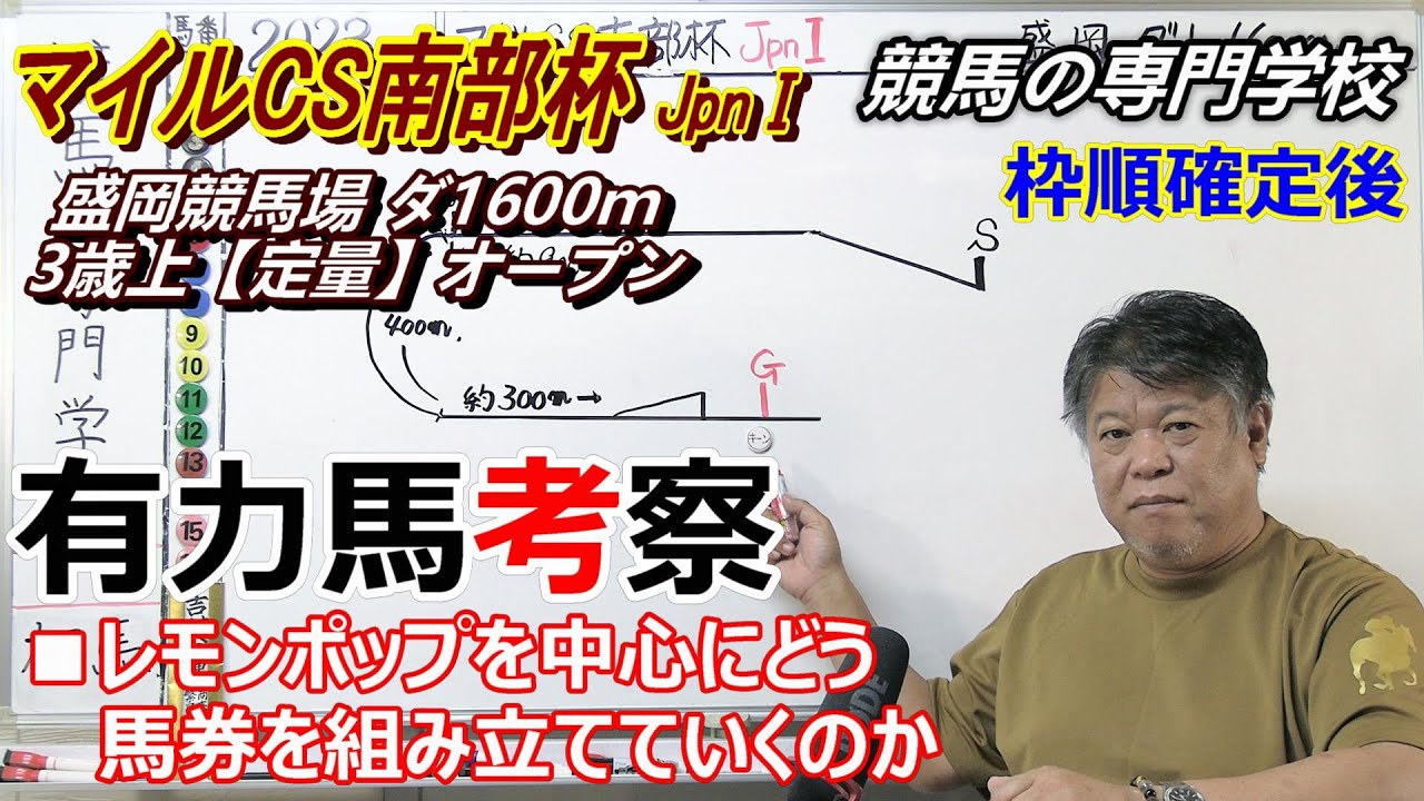 【マイルCS南部杯2023】有力馬考察 馬券は人気でもレモンポップ中心