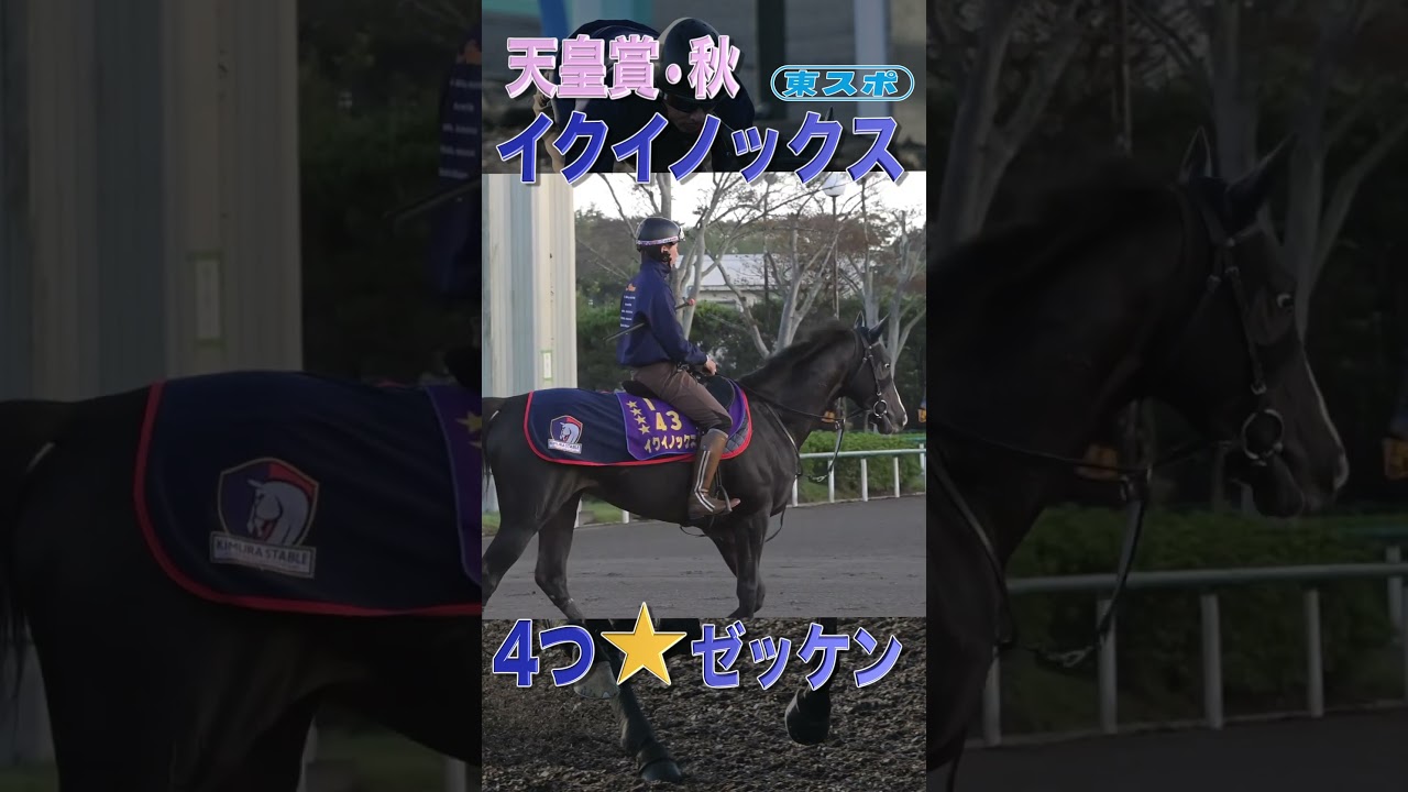 #イクイノックス #競馬 #天皇賞秋 #東スポ競馬 #shorts