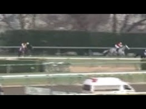 2012年有馬記念を簡単に振り返る