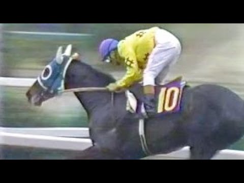 第３５回　皐月賞　カブラヤオー　牡３　57　菅原泰夫　1975.4.13　　出走馬：ロングホーク、エリモジョージ、ロングフアスト、ハクチカツ、ハーバーヤング、イシノマサル、フサトロキノー他