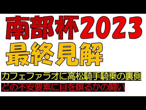 南部杯2023　最終見解