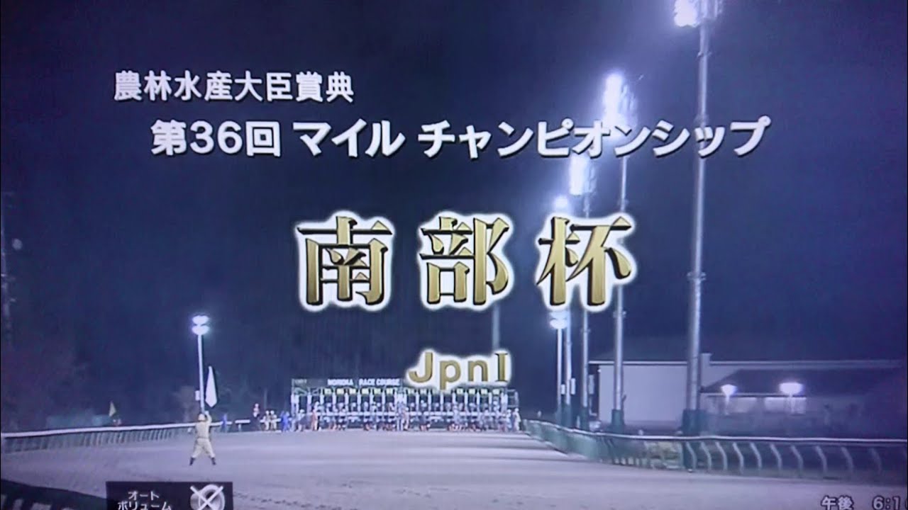 2023 第36回マイルチャンピオンシップ南部杯(Jpn1)