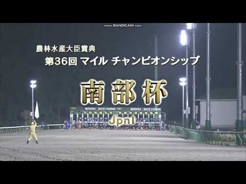 2023年 マイルチャンピオンシップ南部杯（JpnI）ファンファーレ