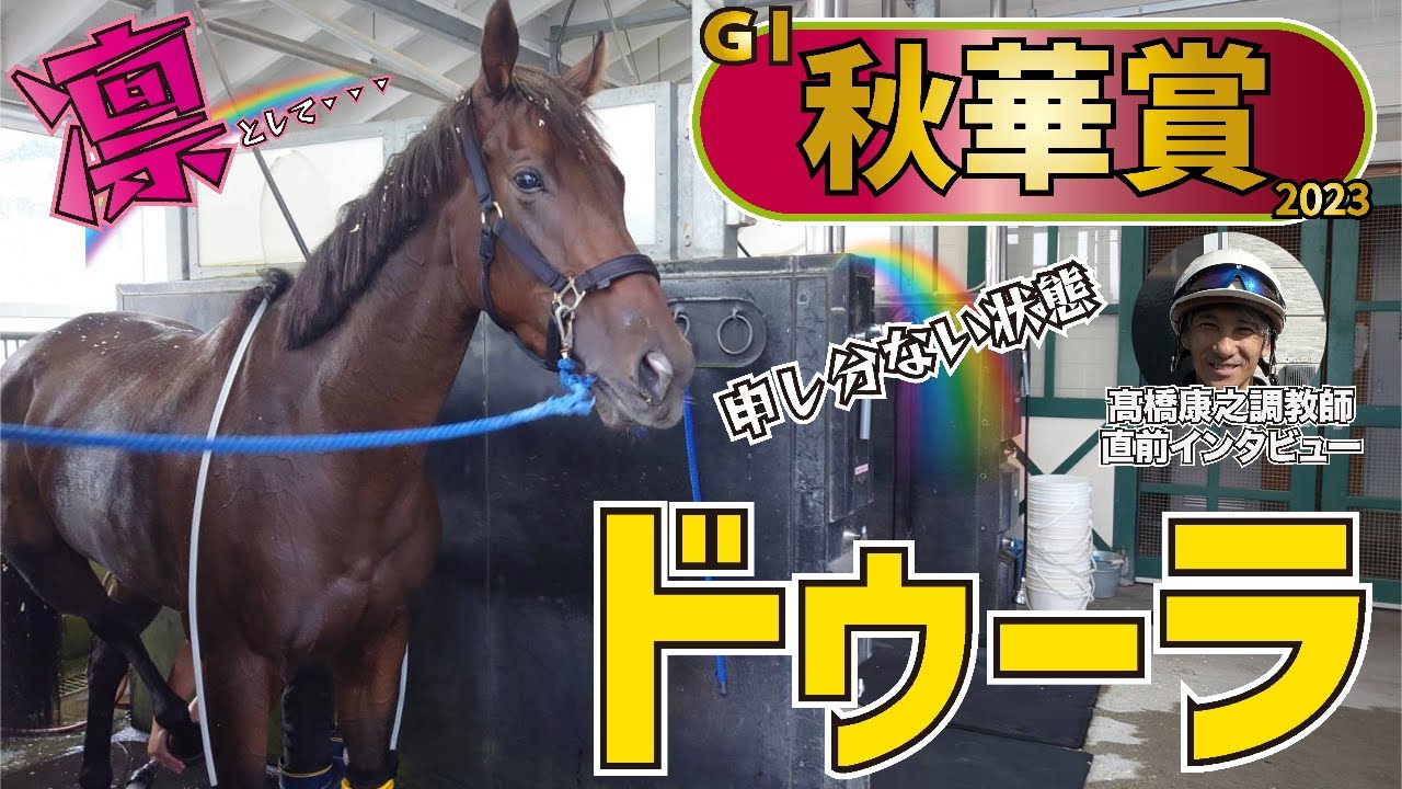 【秋華賞2023】ドゥーラ・高橋康之調教師「（レースを使いながら良化し）前脚のフットワーク、ストライドの大きさは良くなった」〈東スポ競馬〉