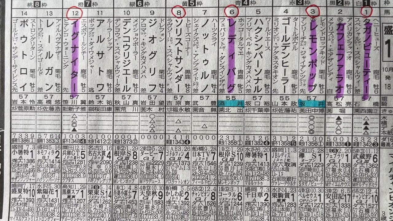 【競馬予想】　マイルチャンピオンシップ南部杯　完璧的中🎯