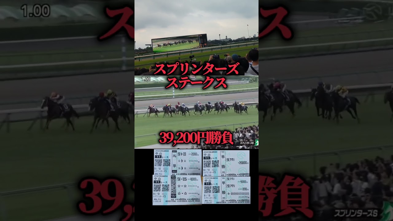 【漢の勝負】スプリンターズステークスに39200円ぶち込んでみた#競馬#競馬勝負#スプリンターズステークス
