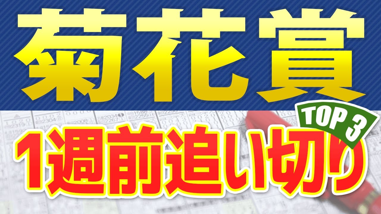 【菊花賞2023】1週前追い切りが高評価だった3頭をピックアップ🐴 ～JRA競馬予想～