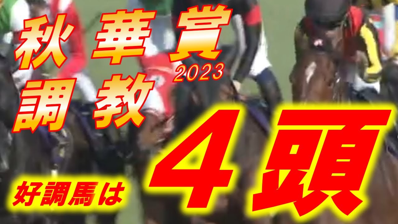 秋華賞2023　追い切り診断‼　リバティアイランドの評価は！？　２，３着候補はどの馬！？　元馬術選手のコラム by アラシ