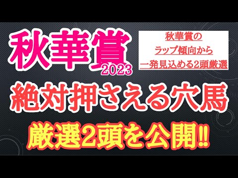 【秋華賞2023】穴馬予想！当レースのレースラップ傾向から流れが合いそうで激走しそうな厳選2頭を公開！