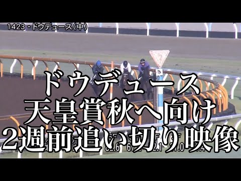ドウデュース 天皇賞秋へ向け2週前追い切り映像