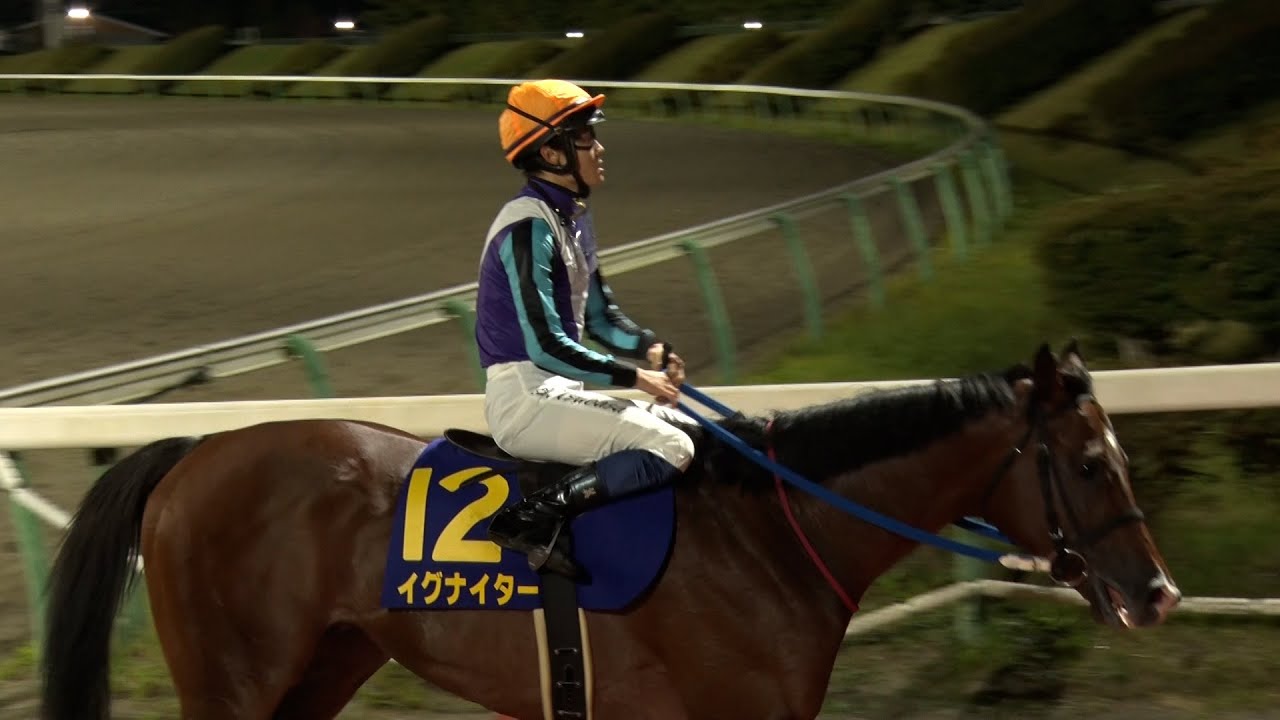アタック！地方競馬｜第237回｜プレイバック　マイルチャンピオンシップ南部杯｜NAR公式