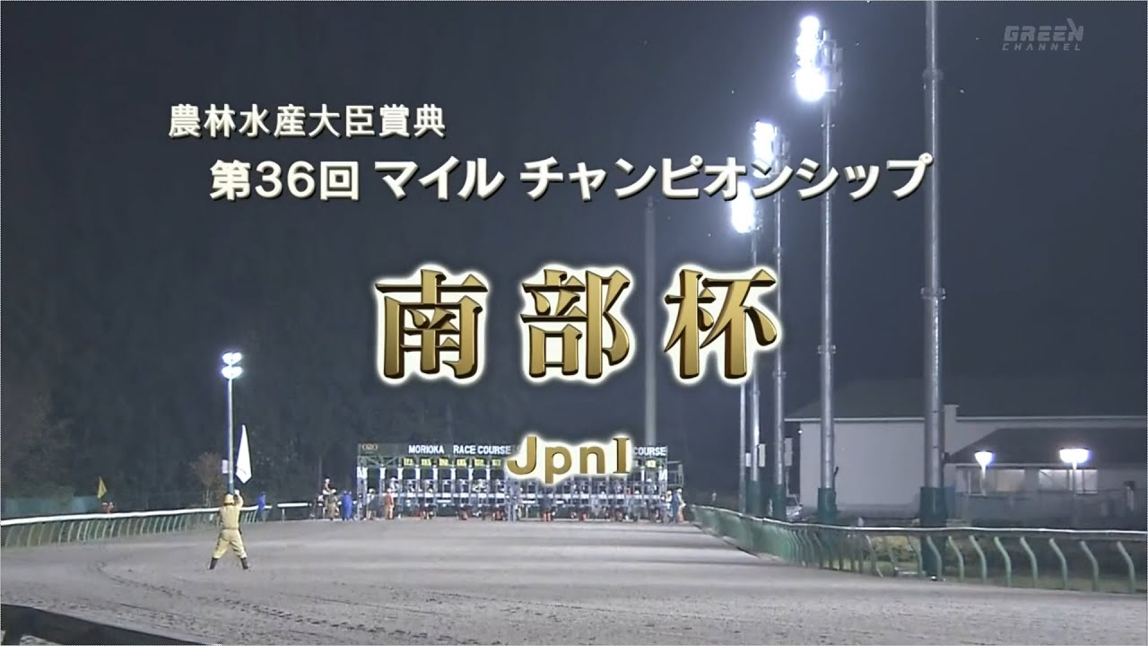 【競馬】2023年 第36回マイルチャンピオンシップ南部杯(JpnⅠ)【レモンポップ / 坂井瑠星】