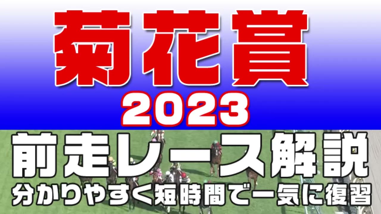 【菊花賞2023】参考レース解説。菊花賞2023の登録馬のこれまでのレースぶりを初心者にも分かりやすい解説で振り返りました。