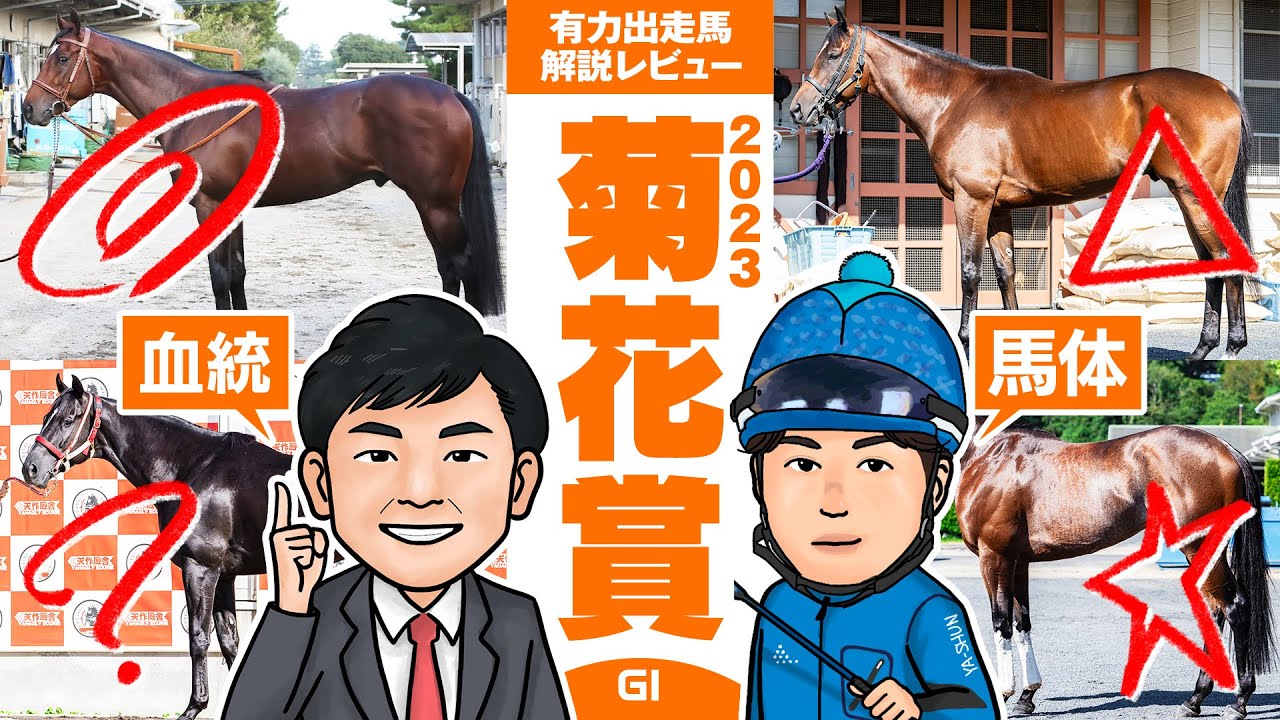 【菊花賞 2023】大混戦の牡馬クラシック最終戦！四年ぶりの京都開催で注目のポイントは！？馬体vs血統 有力出走馬解説レビュー【競馬 予想】