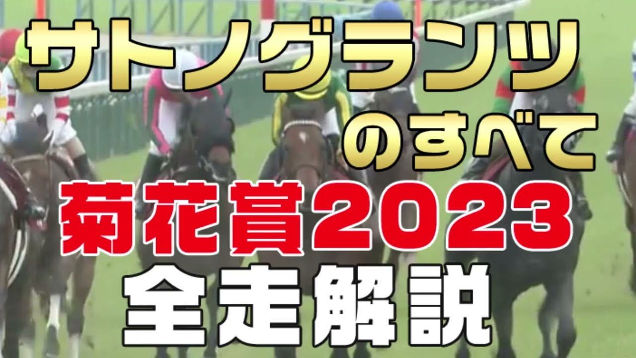 【サトノグランツのすべて】（菊花賞2023）新馬戦から前走までのレースぶりを振り返ってみました。