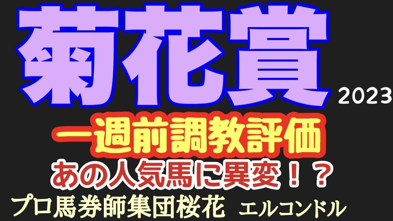 プロ馬券師集団桜花のエルコンドル氏の菊花賞2023一週前調教評価！！ダービー馬ダスティエーラが始動！状態は！？各馬未知の距離への対応はわならない！あの人気馬は大丈夫か！